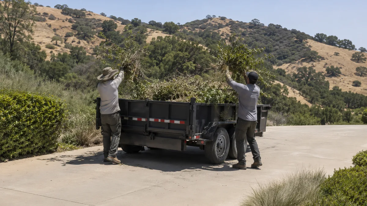 Crew loading cut brush and green waste into a dump trailer parked in a Chino Hills driveway