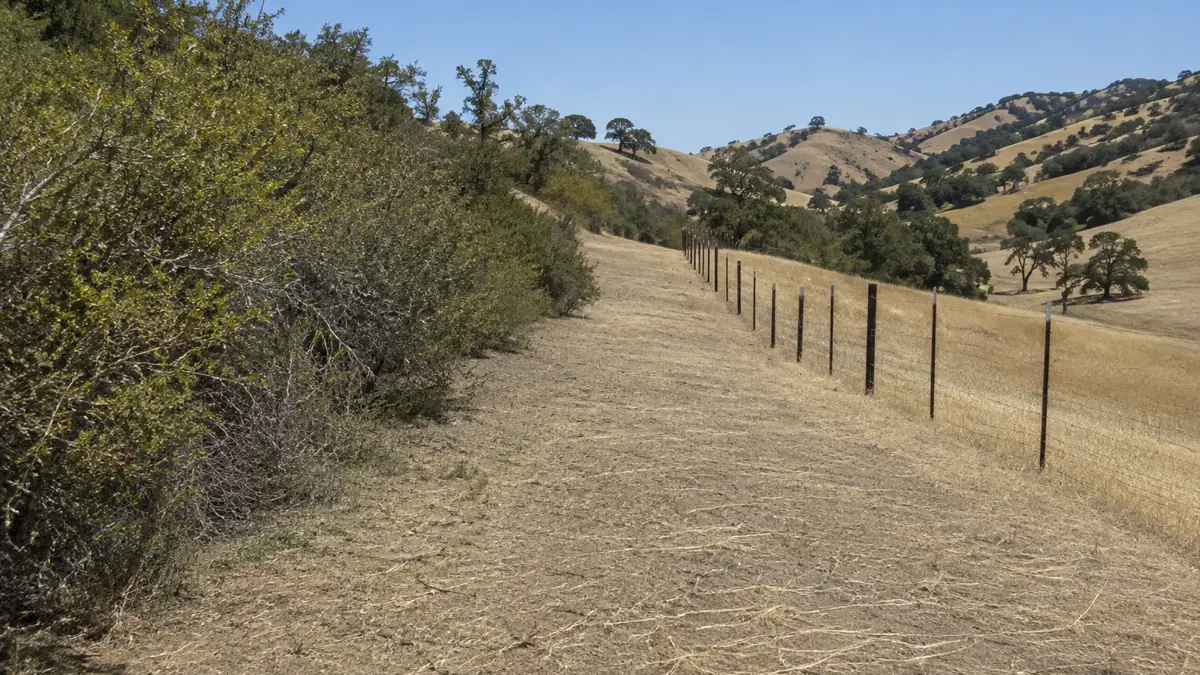 Dry grass and brush cut back from a hillside fence line above the Chino Valley