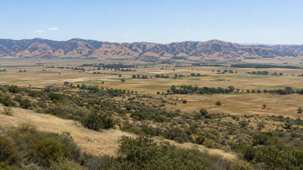 Dry hillsides and open valley flats across the Chino Valley land clearing service area