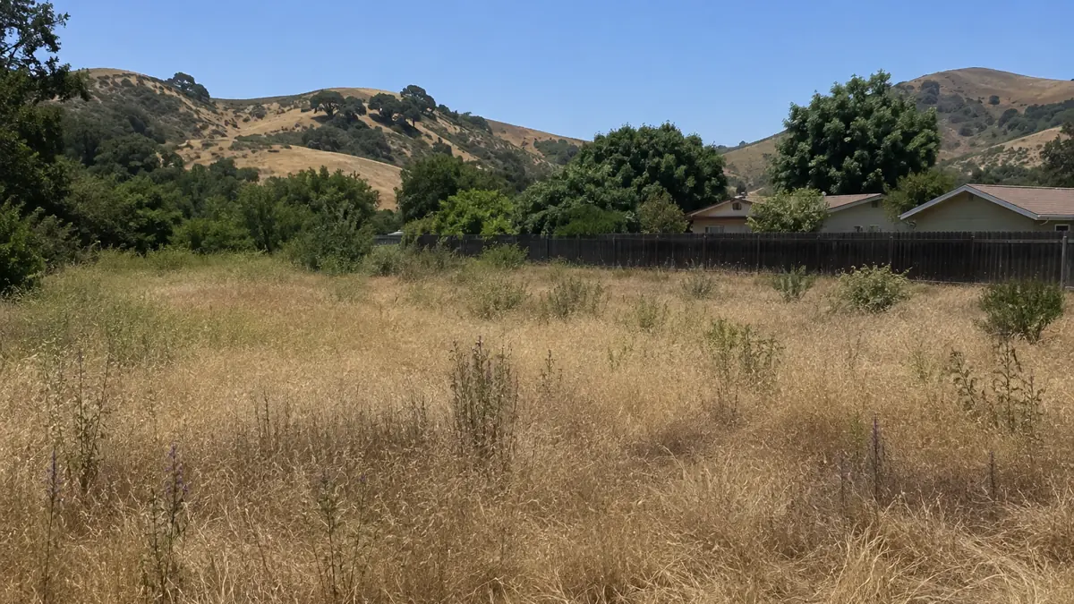 Overgrown weeds and brush on a Chino Hills lot waiting for a land clearing estimate