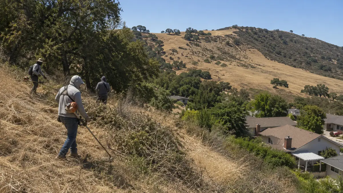 Land clearing crew cutting dry brush on a steep hillside behind homes in Chino Hills, California, with the open State Park ridgeline above