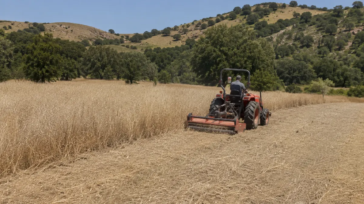 Tractor mowing tall dry grass down to stubble on a flat vacant parcel in Chino Hills during spring weed abatement